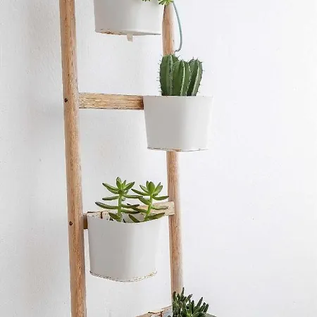 Apartamento Le Family Palms My