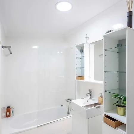 Le Family Palms My *