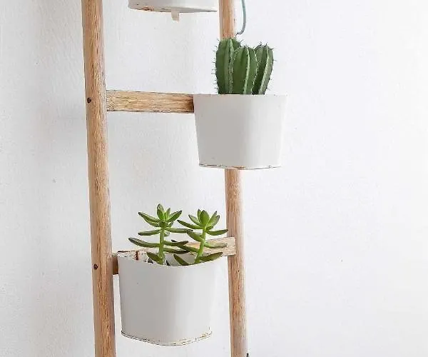 Διαμέρισμα Le Family Palms My