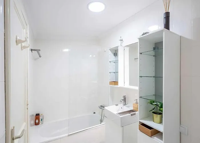 Le Family Palms My *